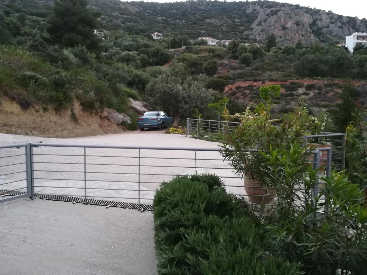 Stone House In Olive Grove Villa Tolón Exteriör bild