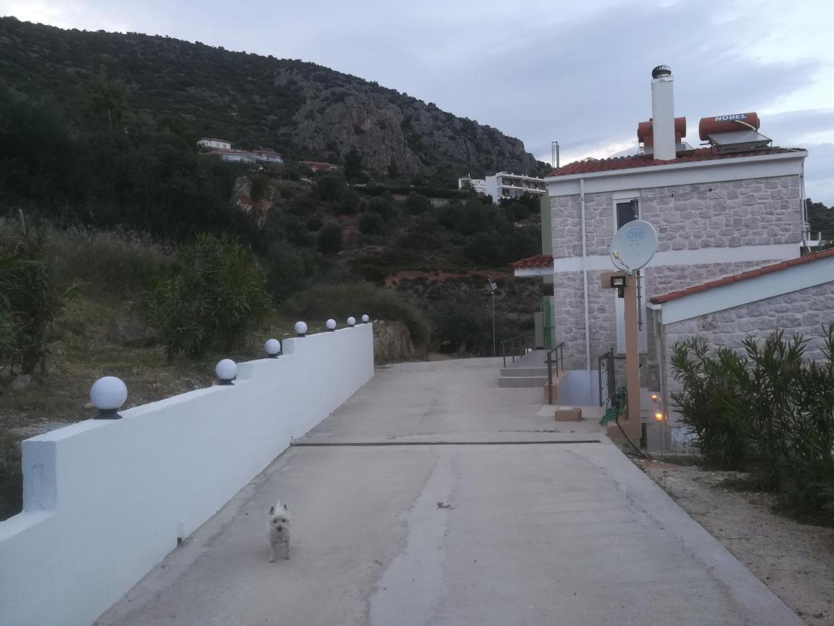 Stone House In Olive Grove Villa Tolón Exteriör bild