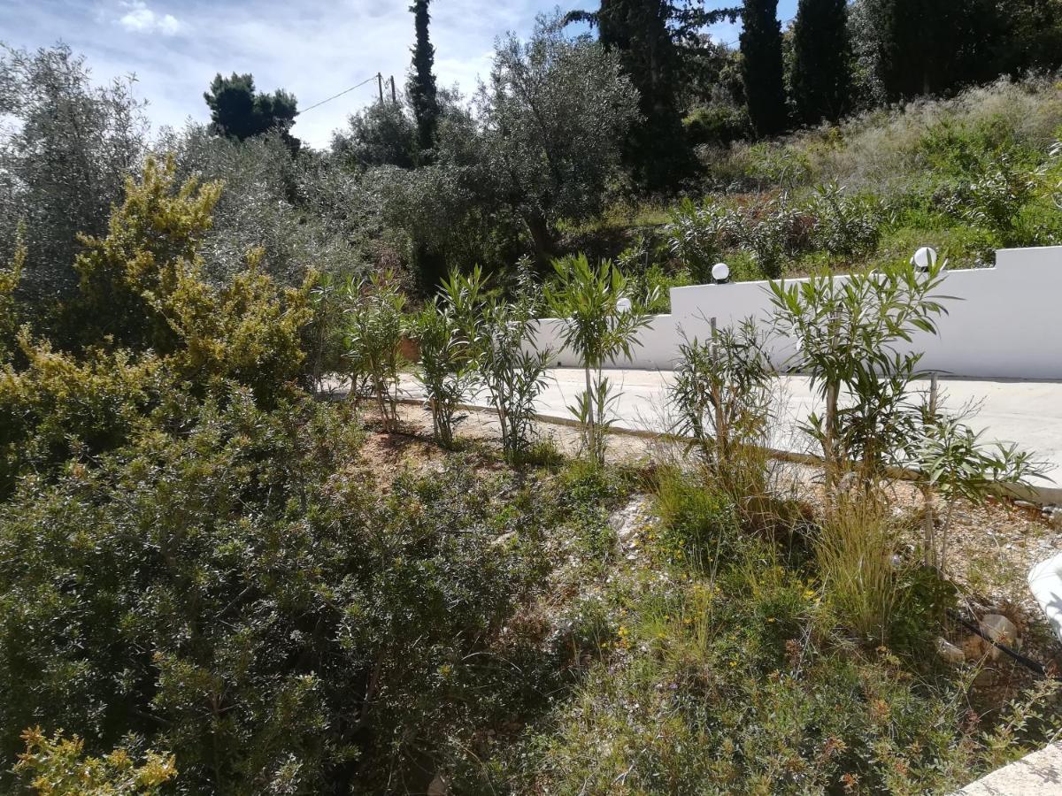 Stone House In Olive Grove Villa Tolón Exteriör bild