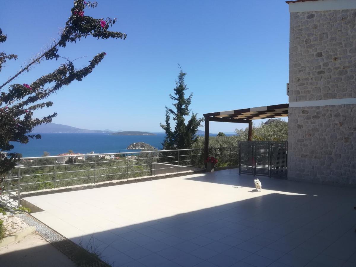 Stone House In Olive Grove Villa Tolón Exteriör bild
