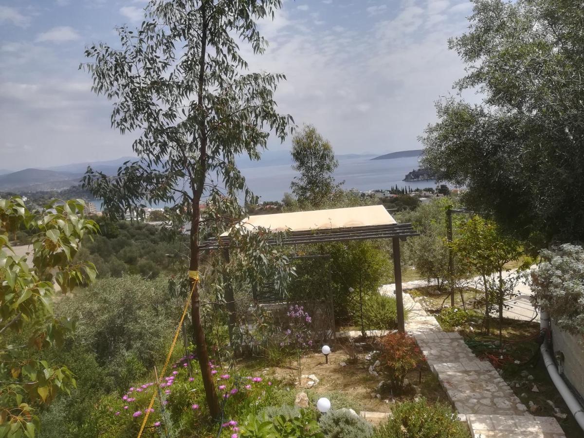 Stone House In Olive Grove Villa Tolón Exteriör bild