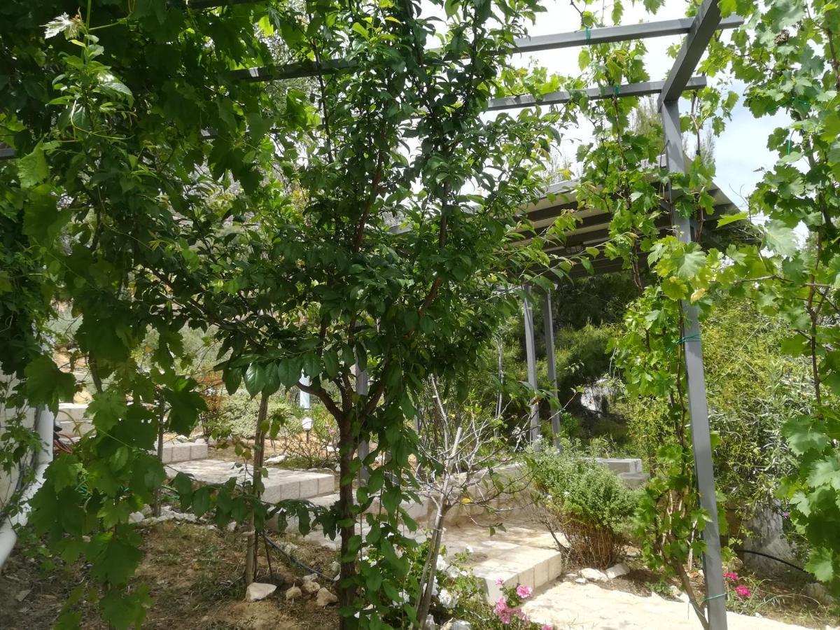Stone House In Olive Grove Villa Tolón Exteriör bild
