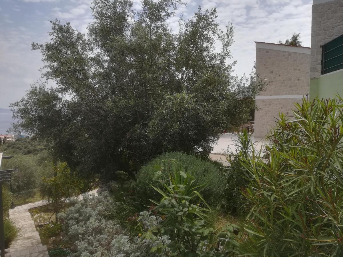 Stone House In Olive Grove Villa Tolón Exteriör bild
