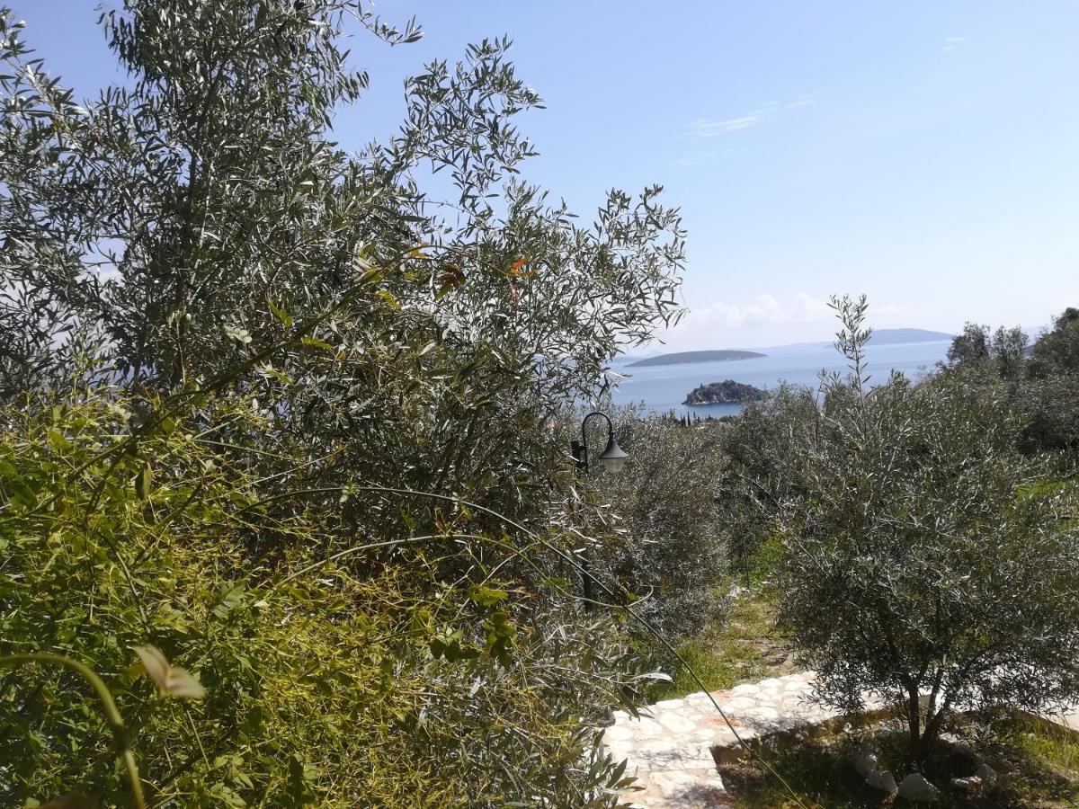 Stone House In Olive Grove Villa Tolón Exteriör bild