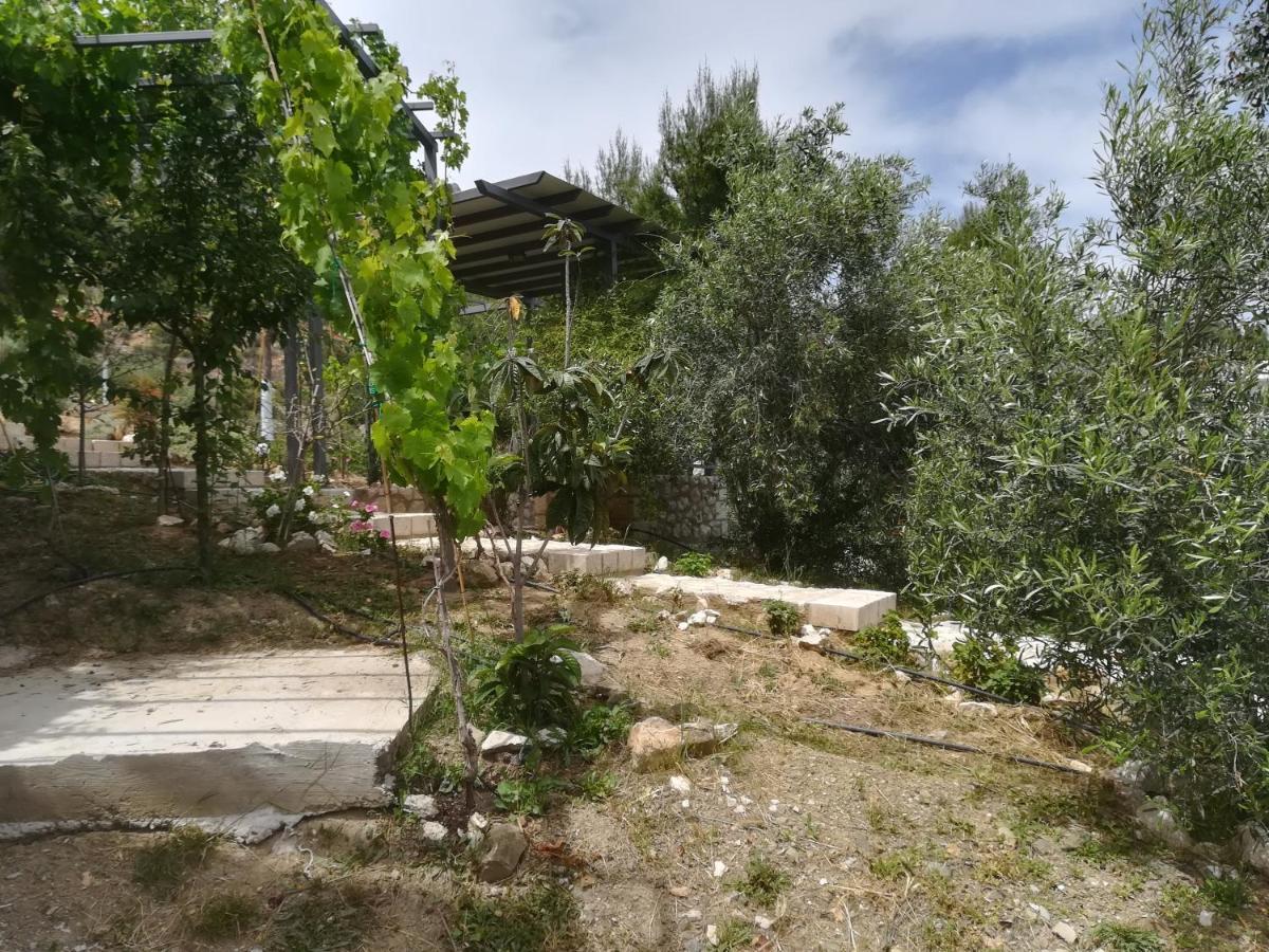 Stone House In Olive Grove Villa Tolón Exteriör bild