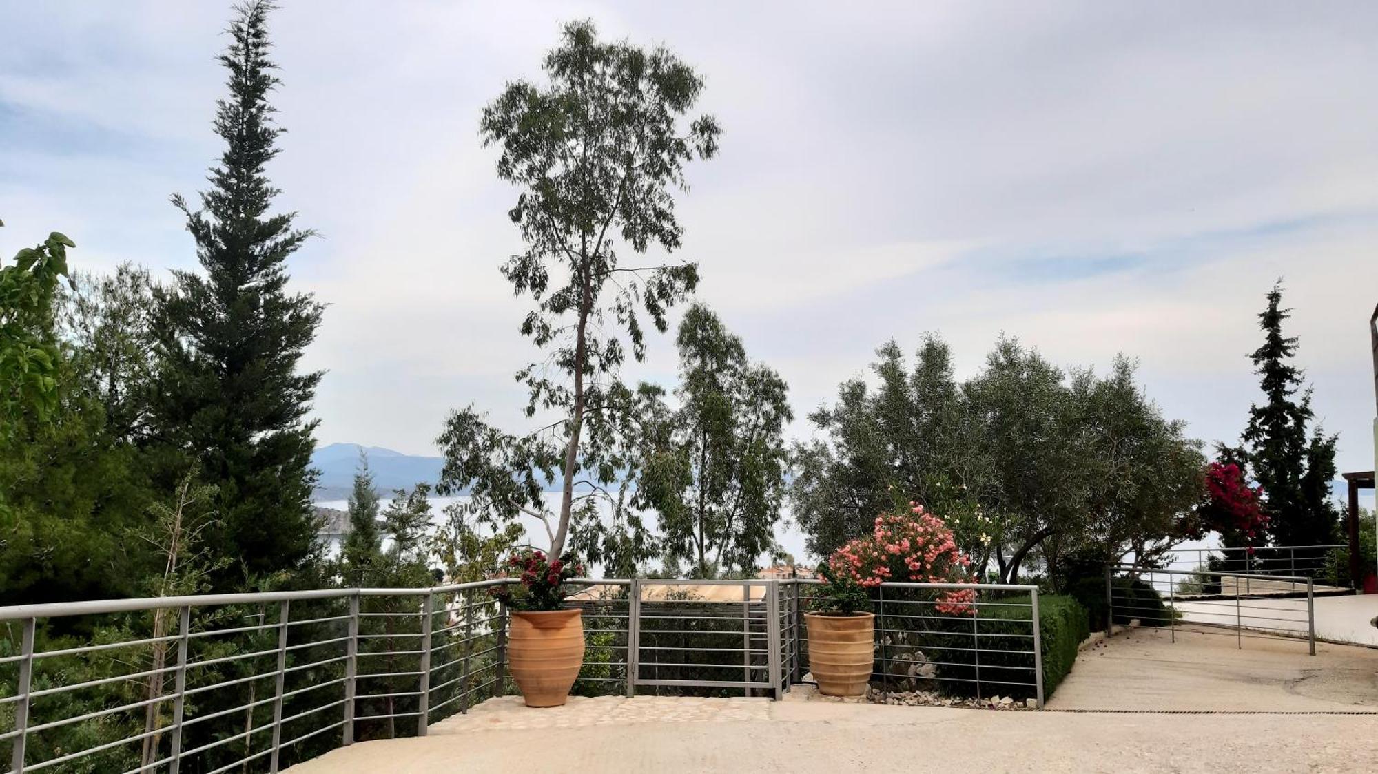 Stone House In Olive Grove Villa Tolón Exteriör bild