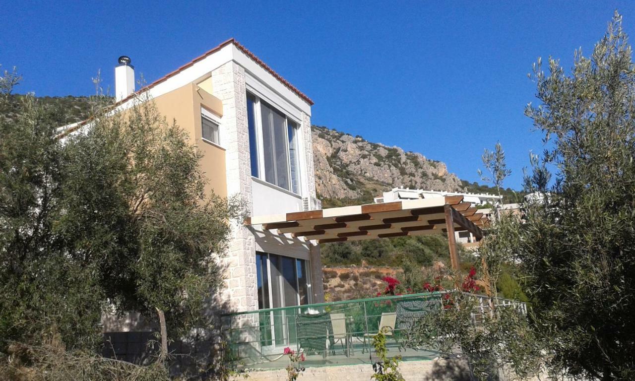 Stone House In Olive Grove Villa Tolón Exteriör bild