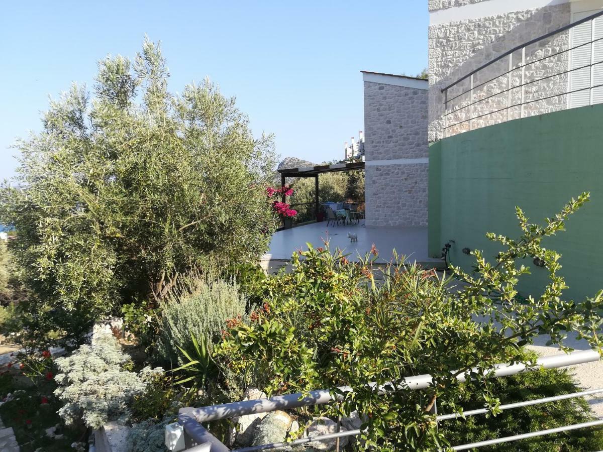 Stone House In Olive Grove Villa Tolón Exteriör bild