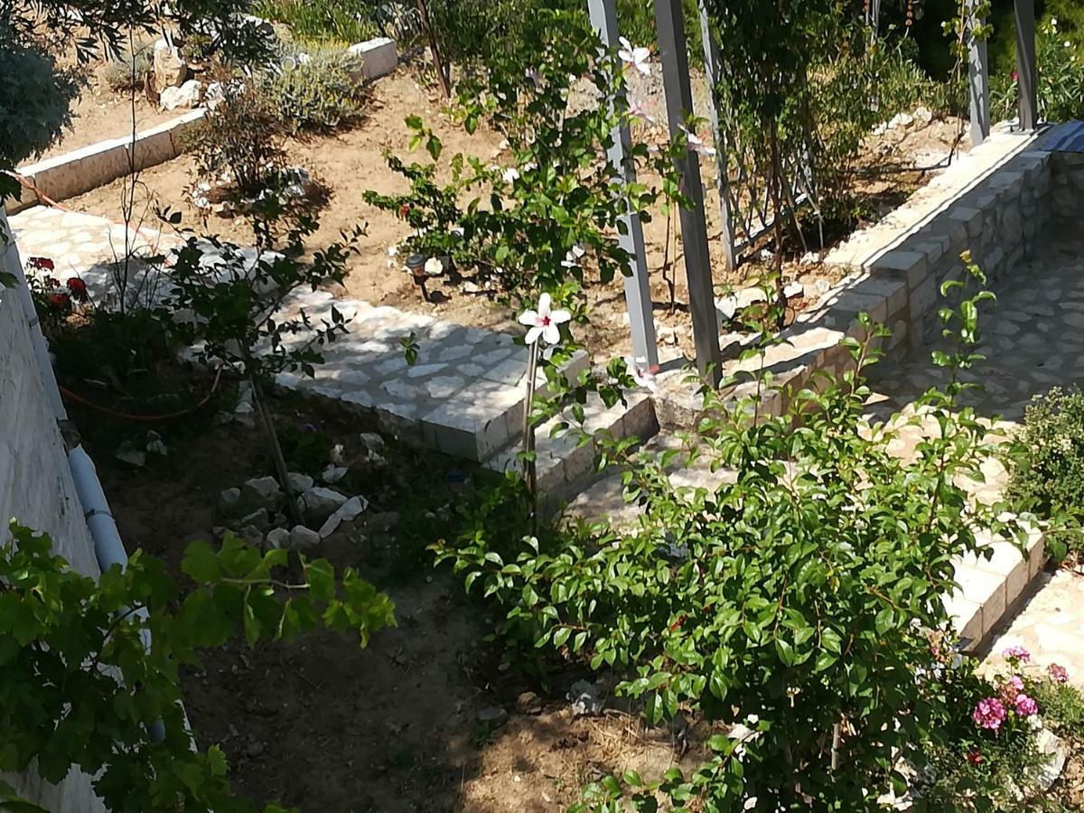 Stone House In Olive Grove Villa Tolón Exteriör bild
