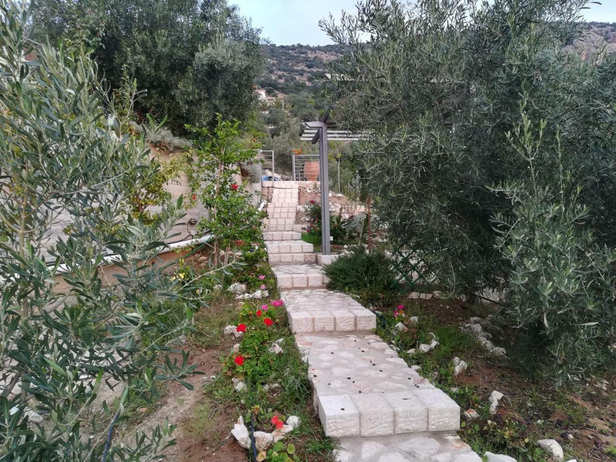 Stone House In Olive Grove Villa Tolón Exteriör bild