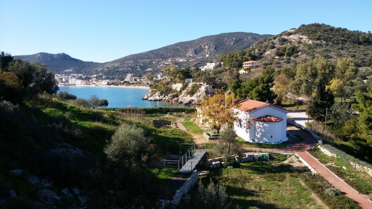 Stone House In Olive Grove Villa Tolón Exteriör bild